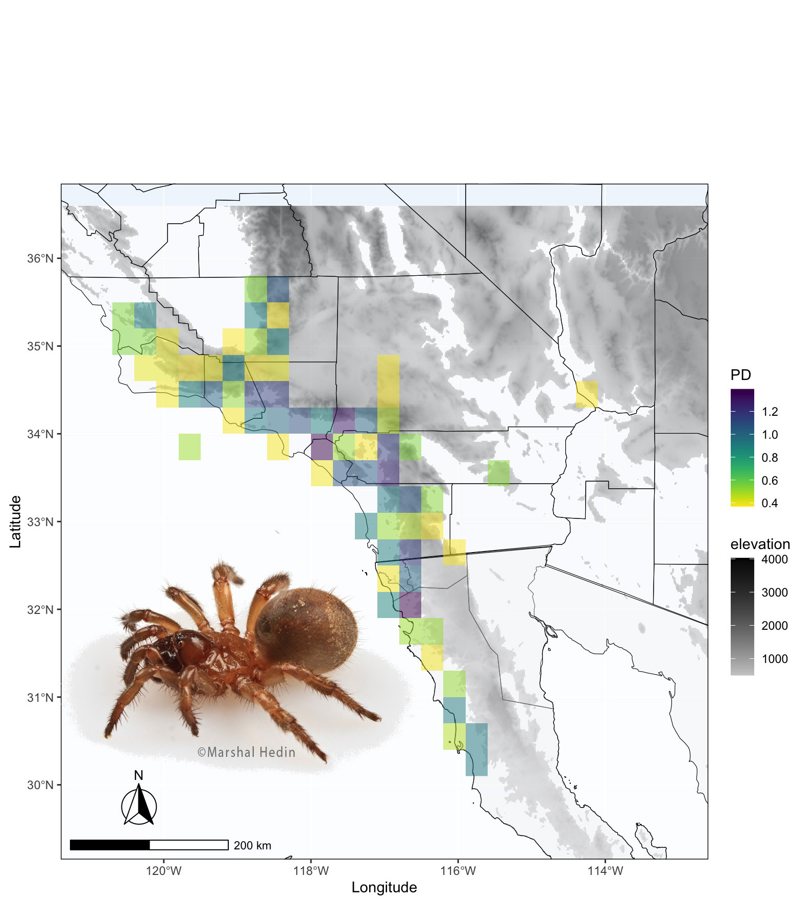 Phylogenetic Diversity